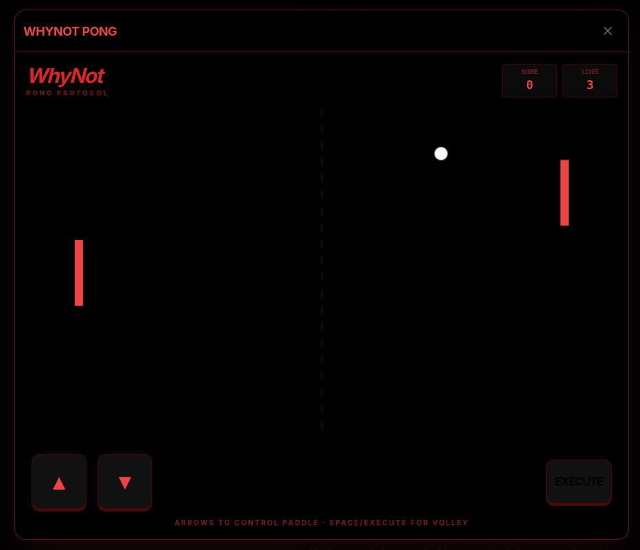 WhyNot Pong – paddle volley; W/S to control paddle, Space/Execute for volley.